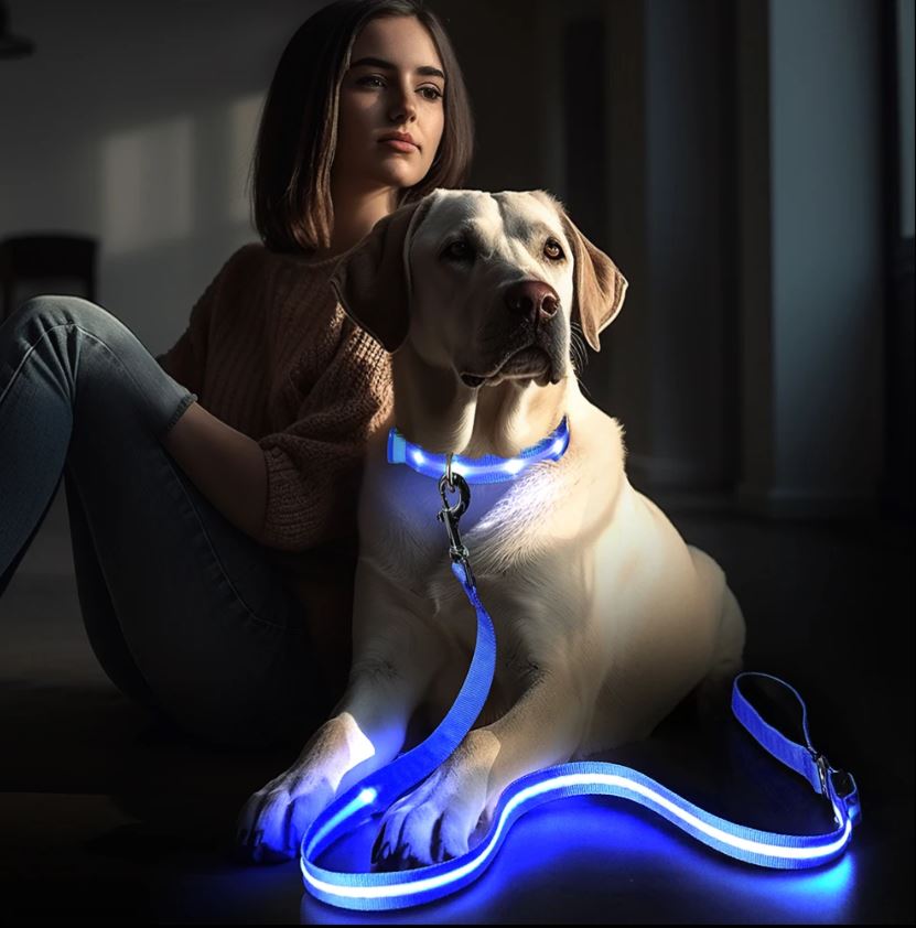 Correa LED - Paseo mascotas